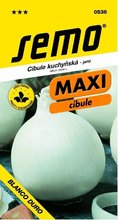 Cibule Southport White Globe maxi bl