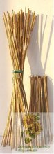 Bambusová tyč 120cm 12 -14mm