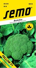 SEMO Brokolice FELLOW / STEEL F1 pro celoroční pěstování