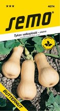 Tykev BUTTERNUT (LISICA) SM