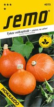 Tykev HOKKAIDO ORANGE oranov