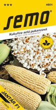 SEMO Kukuice JANTR F1 pukancov