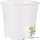 ARCA Kontejner orchidej plast 17 cm 2,3 l