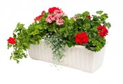 Plastia Samozavlaovac truhlk SIESTA LUX 60x20x19 cm slonov kost